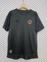 24/25  Aston Villa Special Edition Fans  1:1 Quality Soccer Jersey