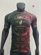 Mexico Special Edition  Player 1:1 Quality Soccer Jersey 25/26