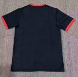 Japan Panther Edition Fans 1:1 Quality Soccer Jersey 23/24
