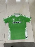 Real Betis Special Edition Fans 1:1 Quality Soccer Jersey 24/25