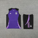 24/25 Germany  Purple Black  1:1 Quality Training Vest（A-Set）