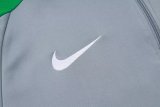 Nigeria Grey 1:1 Quality Training Jersey 25/26