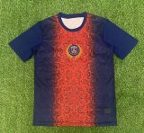 PSG Paris Special Edition  Fans 1:1 Quality Soccer Jersey 25/26