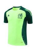 Mexico Green  And Burgundy  1:1 Quality Training Jersey（A-Set）24/25