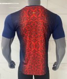 PSG Paris Special Edition  Fans 1:1 Quality Soccer Jersey 25/26