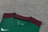 24/25 PSG Paris Green 1:1 Quality Training Vest（A-Set）