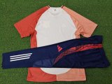 Lyonnais  Training  Third Player 1:1 Quality Training Jersey 24/25