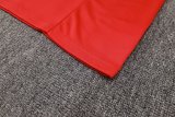 Bayern Munich Training Red 1:1 Quality Training Jersey 24/25