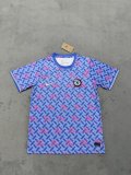 Chelsea Special Edition Fans 1:1 Quality Soccer Jersey 24/25
