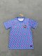 Chelsea Special Edition Fans 1:1 Quality Soccer Jersey 24/25