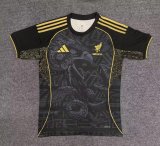 Mexico Special Edition Fans 1:1 Quality Soccer Jersey 25/26