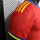 Spain Special Edition Player 1:1 Quality Soccer Jersey 24/25