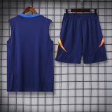 Juventus Blue 1:1 Quality Training Vest（A-Set）24/25