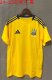 Ukraine Home Yellow Fans 1:1 Quality Soccer Jersey 24/25