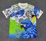 Brazil  Special Edition Fans 1:1 Quality Soccer Jersey 25/26