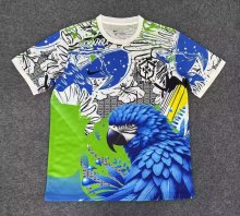 Brazil  Special Edition Fans 1:1 Quality Soccer Jersey 25/26