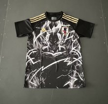 Japan Special Edition Fans 1:1 Quality Soccer Jersey 24/25