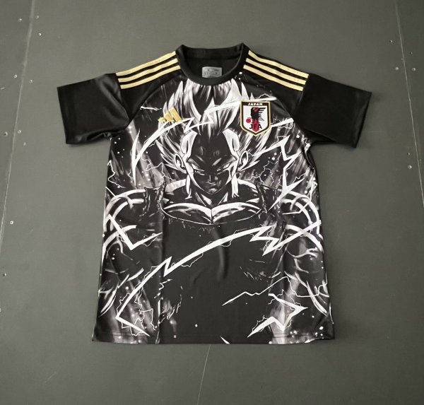 Japan Special Edition Fans 1:1 Quality Soccer Jersey 24/25