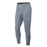 Nigeria Grey 1:1 Quality Training Jersey 25/26