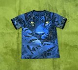 Brazil  Special Edition  Fans 1:1 Quality Soccer Jersey 25/26