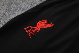 Liverpool  White    1:1 Quality Training Jersey 25/26