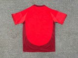 Toronto FC  Home  Red Fans 1:1 Quality Men Soccer Jersey 25/26