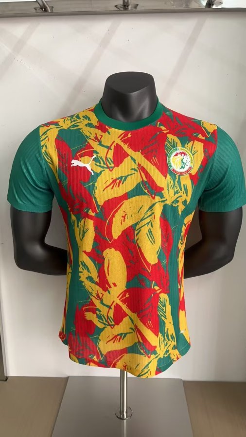 Senegal Training Clothes Player 1:1 Quality Soccer Jersey 24/25