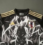 Japan Special Edition Fans 1:1 Quality Soccer Jersey 24/25