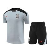 Korea Grey 1:1 Quality Training  Jersey（A-Set）24/25