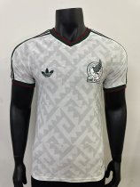 Mexico Special Edition Player 1:1 Quality Soccer Jersey 25/26