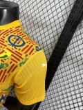Ghana  Special Edition Yellow Player 1:1 Quality Soccer Jersey 24/25