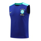 24/25 Brazil Blue 1:1 Quality Training Vest （A-Set）