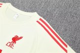 Liverpool White 1:1 Quality Training Jersey（A-Set）25/26