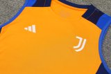 Juventus Orange 1:1 Quality Training Vest（A-Set）24/25