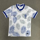 Brazil  Special Edition Fans 1:1 Quality Soccer Jersey 25/26