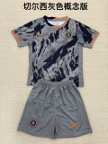 Chelsea Grey White Special Edition Adult Kits 1:1  Quality  Soccer Jersey 25/26（成人套装）
