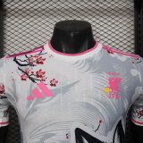 Japan  Special Edition Player 1:1 Quality Soccer Jersey 25/26