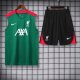 Liverpool Green 1:1 Quality Training Vest（A-Set）24/25