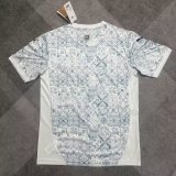 Portugal Training Clothes White Fans 1:1 Quality Soccer Jersey 25/26