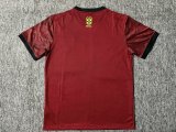 Brazil  Jesus Wine Red Fans 1:1 Quality Soccer Jersey 25/26