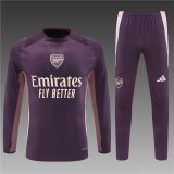 Arsenal Training Purple Player 1:1 Quality Training Jersey 24/25