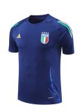 Italy Training Suit Blue 1:1 Quality Training Jersey 24/25