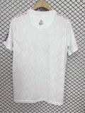 25/26 Colo Colo Rainbow Special Edition White Fans 1:1 Quality Traning Jersey