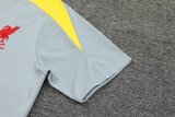 Liverpool Dark Gray  1:1 Quality Training Jersey（A-Set）24/25
