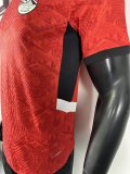 Egypt  Home Red Player 1:1 Quality Soccer Jersey 25/26