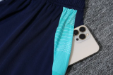 ARS Sapphire Training  Blue 1:1 Quality Training Jersey（A-Set）24/25
