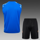 Real Madrid  Blue 1:1 Quality Training Vest（A-Set）24/25