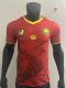 Cameroon  Away Red Player  1:1 Quality Soccer Jersey 25/26