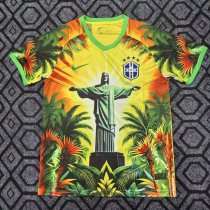 Brazil Special Edition Fans 1:1 Quality Soccer Jersey 25/26