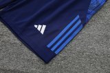 24/25   Al-Nassr FC  Blue  1:1 Quality Training Vest（A-Set）